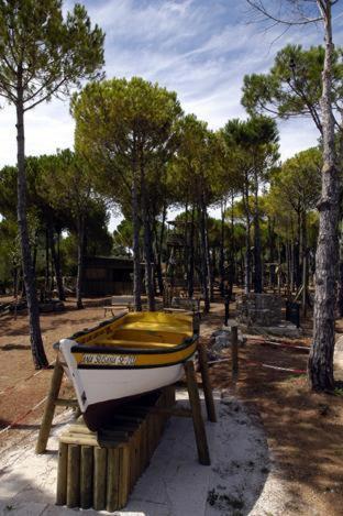 Quinta Dos Moinhos De Sao Filipe Ξενοδοχείο Σετούμπαλ Εξωτερικό φωτογραφία