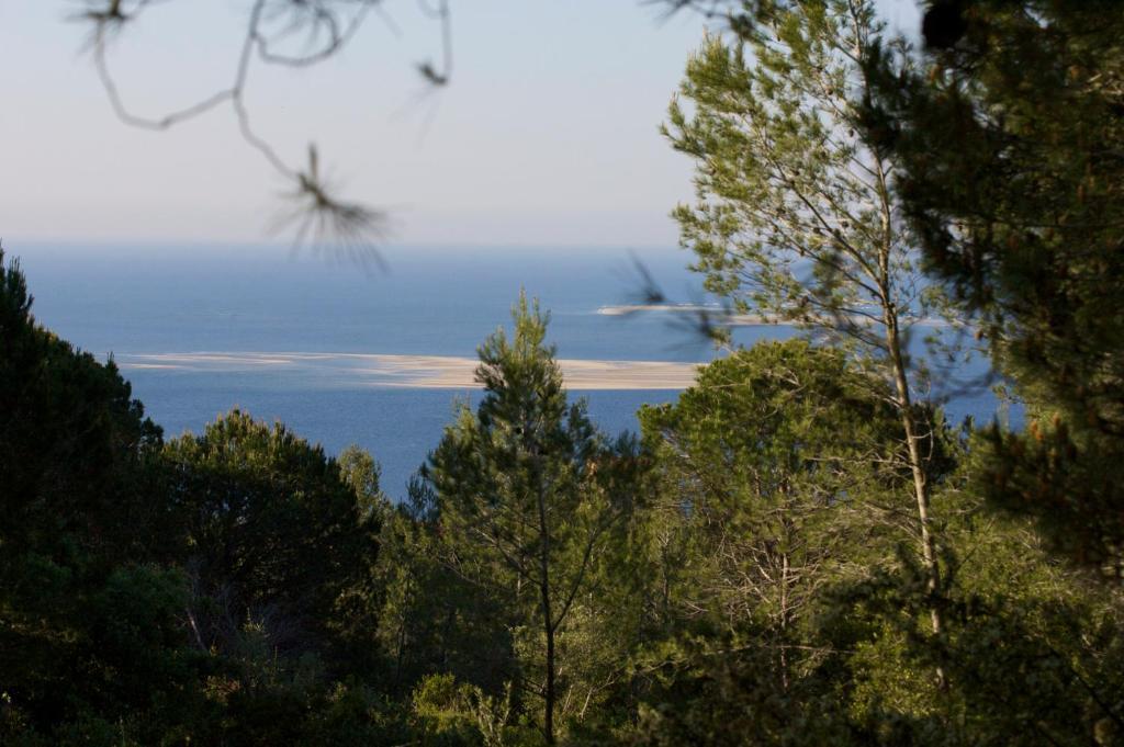 Quinta Dos Moinhos De Sao Filipe Ξενοδοχείο Σετούμπαλ Εξωτερικό φωτογραφία